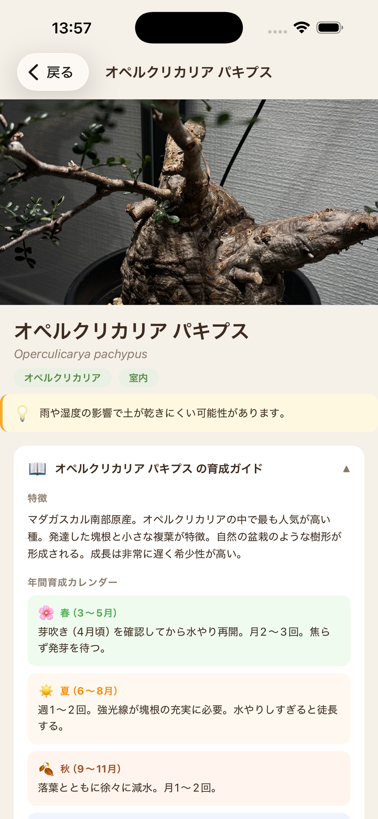 天気連動ケアアドバイス